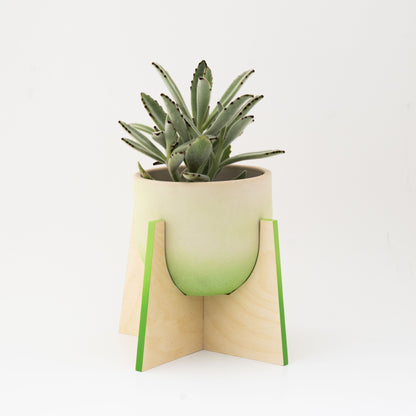 Pineapple Concrete Flower Pot with Wooden Leg